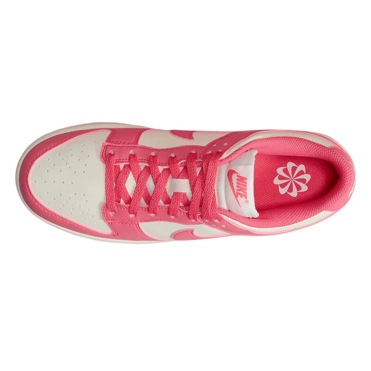 Nike Panda Dunk Low Women's DD1503-101