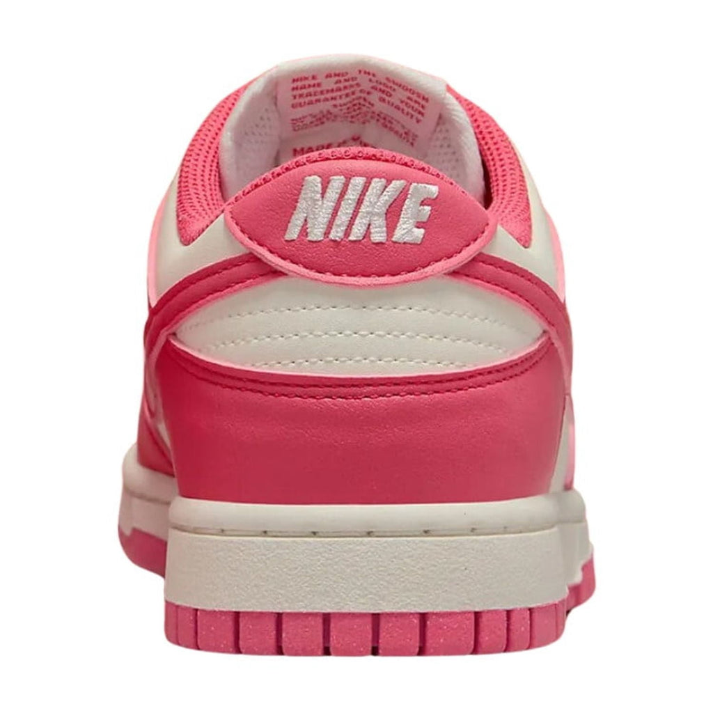 Nike Panda Dunk Low Women's DD1503-101