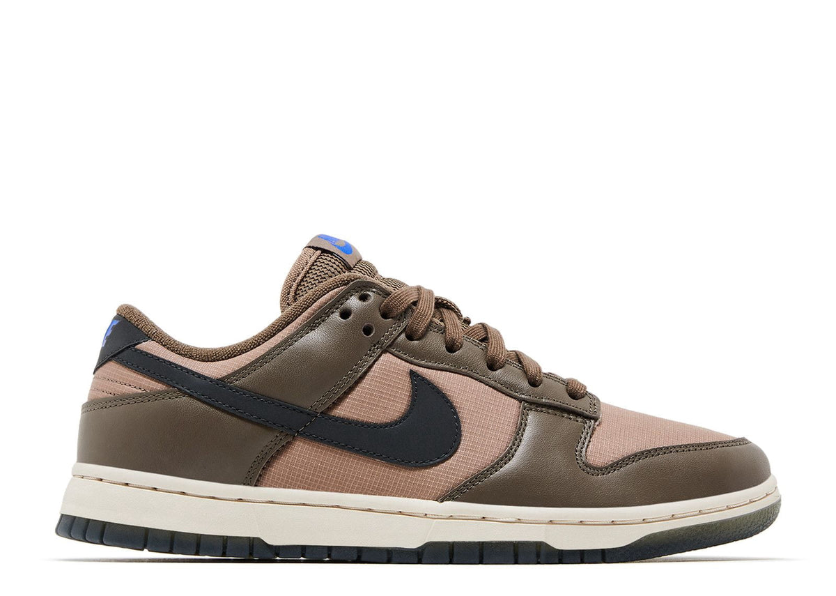 Women's Nike Dunk Low Sail/Cacao Wow-Coconut Milk (DD1503 124) - 12